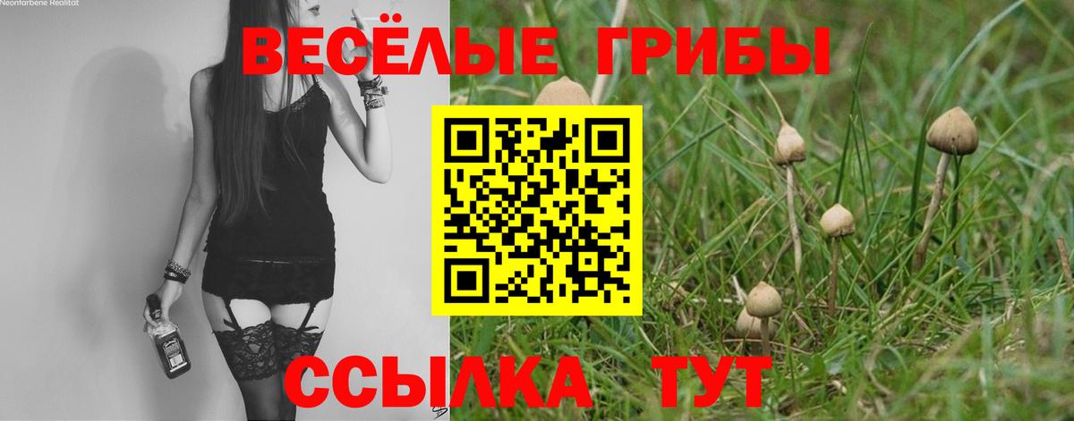 Галлюциногенные грибы Magic Shrooms Чехов